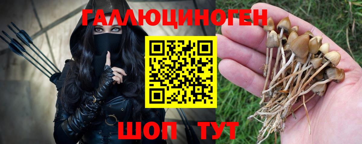 Псилоцибиновые грибы GOLDEN TEACHER Красногорск